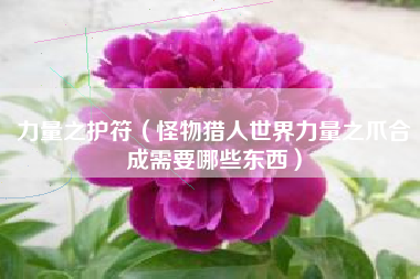 力量之护符（怪物猎人世界力量之爪合成需要哪些东西）