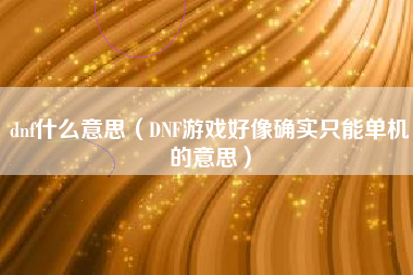 dnf什么意思（DNF游戏好像确实只能单机的意思）