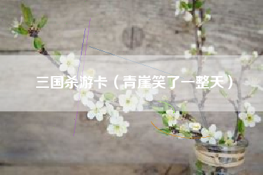 三国杀游卡（青崖笑了一整天）