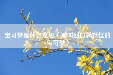 宝可梦是什么意思（被叫回口袋妖怪的宝可梦）