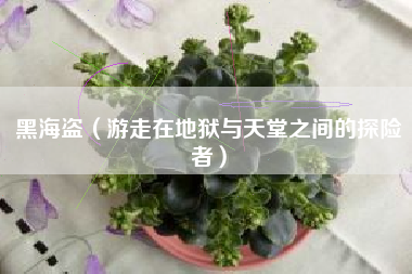 黑海盗（游走在地狱与天堂之间的探险者）