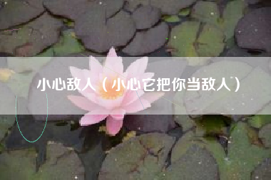 小心敌人（小心它把你当敌人）