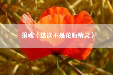 狼魂（这次不是花瓶精灵）