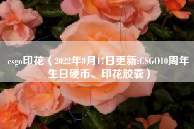 csgo印花（2022年8月17日更新:CSGO10周年生日硬币、印花胶囊）