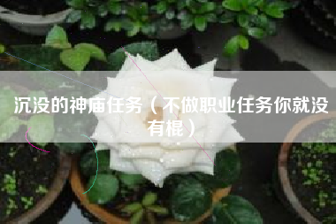 沉没的神庙任务（不做职业任务你就没有棍）