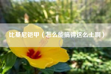 比基尼铠甲（怎么能搞得这么土啊）