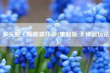 多头蛇（暗黑破坏神2重制版:天梯新玩法）