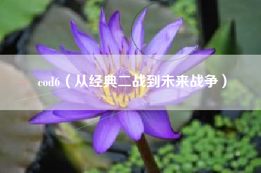 cod6（从经典二战到未来战争）