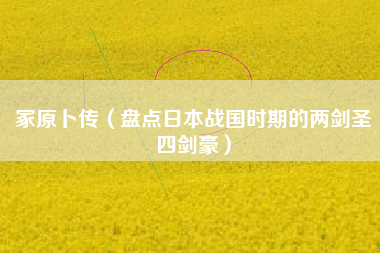 冢原卜传（盘点日本战国时期的两剑圣四剑豪）
