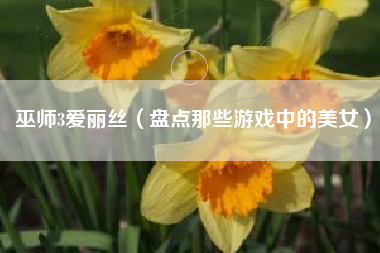 巫师3爱丽丝（盘点那些游戏中的美女）