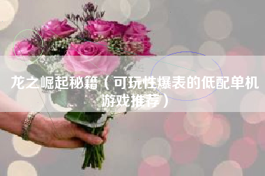 龙之崛起秘籍（可玩性爆表的低配单机游戏推荐）
