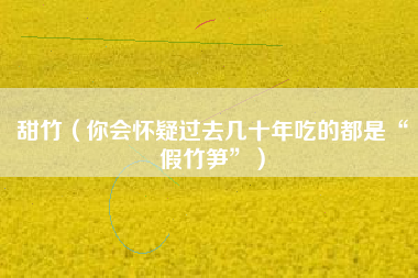 甜竹（你会怀疑过去几十年吃的都是“假竹笋”）