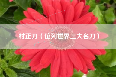村正刀（位列世界三大名刀）