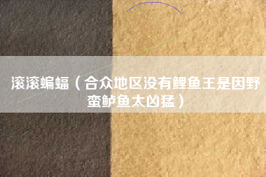 滚滚蝙蝠（合众地区没有鲤鱼王是因野蛮鲈鱼太凶猛）