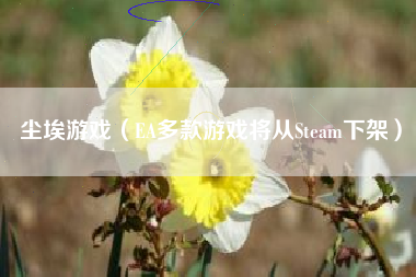 尘埃游戏（EA多款游戏将从Steam下架）