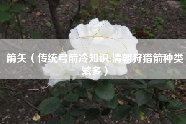 箭矢（传统弓箭冷知识:清朝狩猎箭种类繁多）