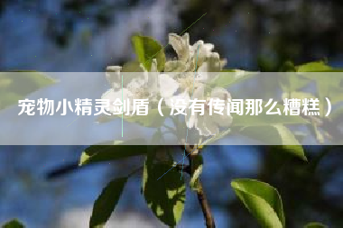 宠物小精灵剑盾（没有传闻那么糟糕）