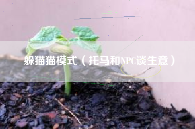 躲猫猫模式（托马和NPC谈生意）