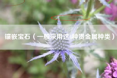 镶嵌宝石（一般采用这4种贵金属种类）