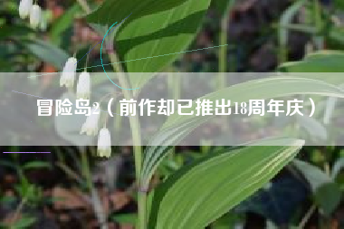 冒险岛2（前作却已推出18周年庆）