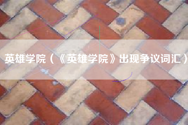 英雄学院（《英雄学院》出现争议词汇）