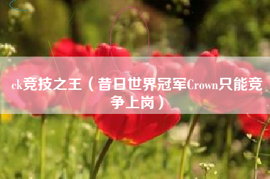 ck竞技之王（昔日世界冠军Crown只能竞争上岗）