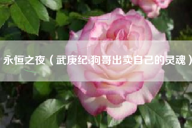 永恒之夜（武庚纪:狗哥出卖自己的灵魂）