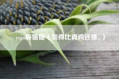 csgo躲猫猫（装得比真鸡还像...）