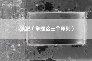 狼派（掌握这三个原则）
