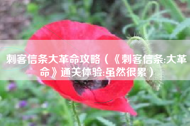 刺客信条大革命攻略（《刺客信条:大革命》通关体验:虽然很累）