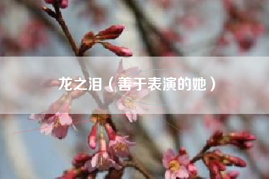 龙之泪（善于表演的她）