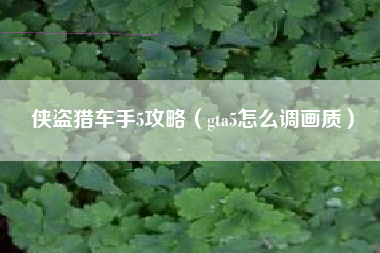 侠盗猎车手5攻略（gta5怎么调画质）