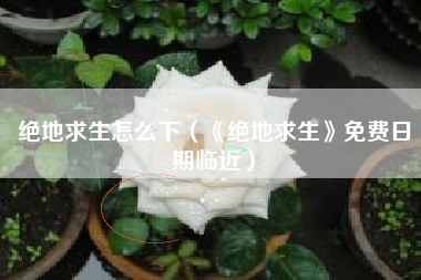 绝地求生怎么下（《绝地求生》免费日期临近）