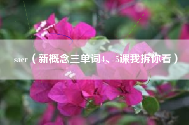 sacr（新概念三单词4、5课我拆你看）