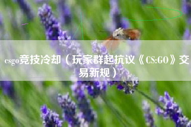 csgo竞技冷却（玩家群起抗议《CS:GO》交易新规）