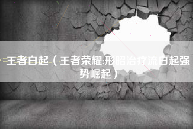 王者白起（王者荣耀:形昭治疗流白起强势崛起）