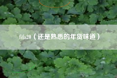 fifa20（还是熟悉的年货味道）