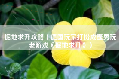 掘地求升攻略（德国玩家打扮成壶男玩老游戏《掘地求升》）