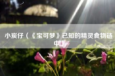 小炭仔（《宝可梦》已知的精灵食物链中）