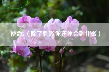 使命2（除了刺激你还体会到什么）