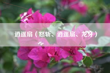 逍遥扇（怒斩、逍遥扇、龙牙）