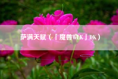 萨满天赋（「魔兽WLK」DK）