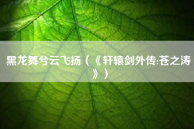 黑龙舞兮云飞扬（《轩辕剑外传:苍之涛》）