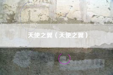 天使之翼（天使之翼）