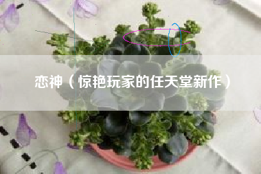 恋神（惊艳玩家的任天堂新作）