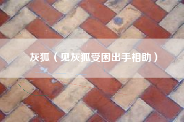 灰狐（见灰狐受困出手相助）