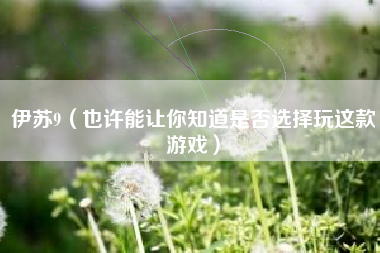 伊苏9（也许能让你知道是否选择玩这款游戏）