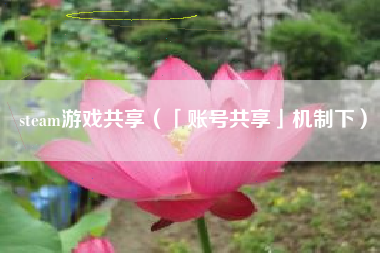 steam游戏共享（「账号共享」机制下）