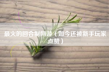 最火的回合制网游（如今还被新手玩家点赞）