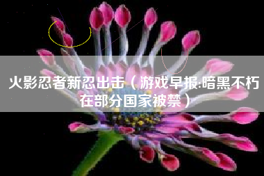 火影忍者新忍出击（游戏早报:暗黑不朽在部分国家被禁）